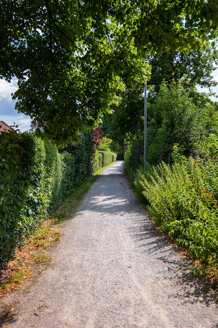A narrow residential driveway composed of light-colored gravel, flanked by lush green hedges and flowering shrubs on both sides, leading into a property surrounded by tall, leafy trees providing partial shade. A tall, slim lamppost is situated on the right side of the driveway, with sunlight filtering through the dense canopy overhead. The scene is quiet and well-maintained, suitable for home relocation or furniture transport, as part of a house removals process. The overall environment appears peaceful and verdant, with visible signs of greenery and natural foliage, highlighting the challenges and considerations of accessing properties with limited driveway width. This image relates to house removals services such as those offered by Man with Van Arkley, illustrating typical urban or suburban moving scenarios involving tight access points.