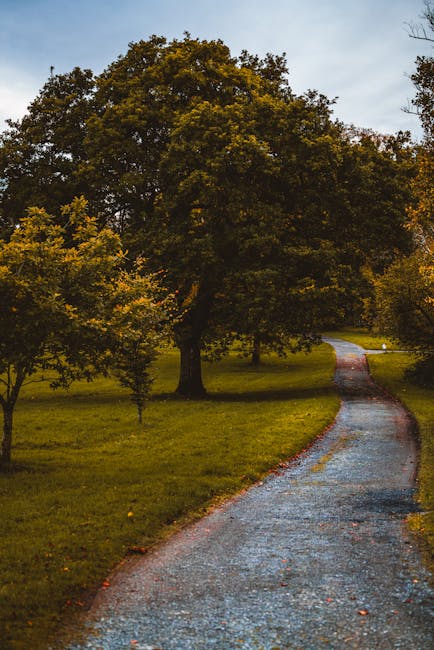 A narrow gravel driveway winding through a landscaped garden area is visible in the image, lined with lush green grass and bordered by mature trees with dense foliage in shades of green and yellow. The sky above is overcast, casting diffuse light over the scene. The driveway appears to lead towards a residential property, which is partially obscured by the trees. In the context of house removals, this setting demonstrates the type of accessible outdoor space where furniture and packed boxes might be loaded onto a van, such as those operated by Man with Van Arkley, during a home relocation. The natural environment and the driveway's alignment are relevant for planning logistics involving furniture transport, packing, and moving vehicles navigating through appropriate access routes.